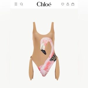 ✨ NEW CHLOE runway SS 2025 flamingo cut out one piece swimsuit